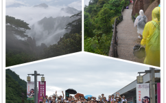 青山绿水一路歌，，，，，仁和伴我闯天涯！