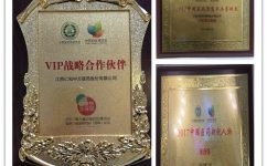 云顶国际yd888(中国)有限公司官网