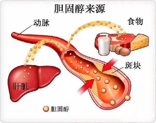 云顶国际yd888(中国)有限公司官网