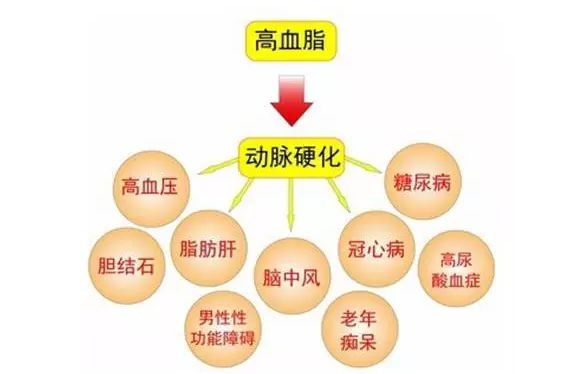 云顶国际yd888(中国)有限公司官网