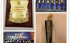 云顶国际yd888喜获第十三届中国成长型医药企业发展论坛多项殊荣