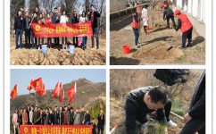 云顶国际yd888多省区开展“植树造林”活动