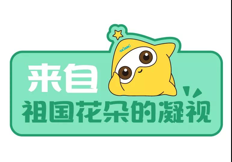 云顶国际yd888(中国)有限公司官网