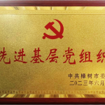 喜报！云顶国际yd888党支部荣获市“先进基层党组织”称号